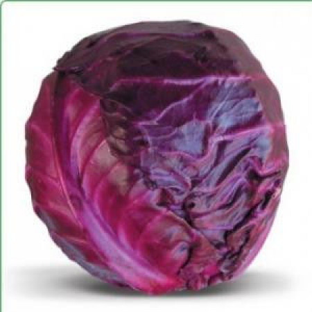Киото F1 (Kioto F1) — семена капусты, KITANO SEEDS