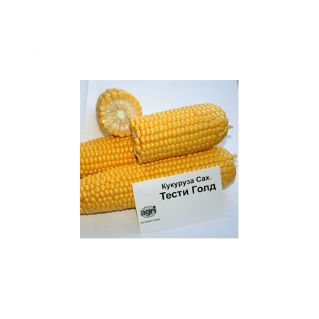 Тести Голд F1 — семена кукурузы, Agri Saaten