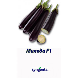Миледа F1 (Mileda F1) — семена баклажанов, SYNGENTA